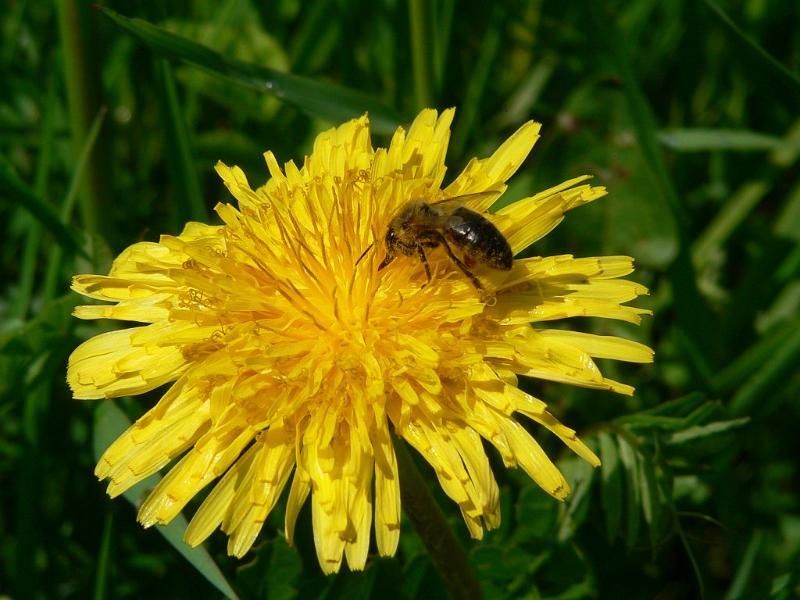 wiosna 2008_29.jpg